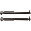 Conjunto de amortecedores TRW JGT431T