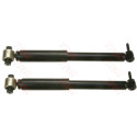 Conjunto de amortecedores TRW JGT434T
