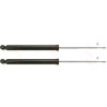 Conjunto de amortecedores TRW JGT440T