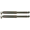Conjunto de amortecedores TRW JGT461T