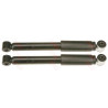 Conjunto de amortecedores TRW JGT480T