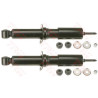 Conjunto de amortecedores TRW JHS171T