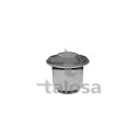 Suspensão, Braço oscilante TALOSA 57-08617