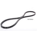 Correia em V JAPANPARTS DT-13X1050LA