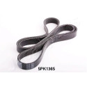 Correia trapezoidal nervurada JAPANPARTS JAPDV-5PK1365