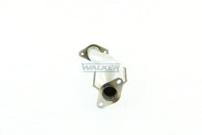 Catalisador Walker 20776