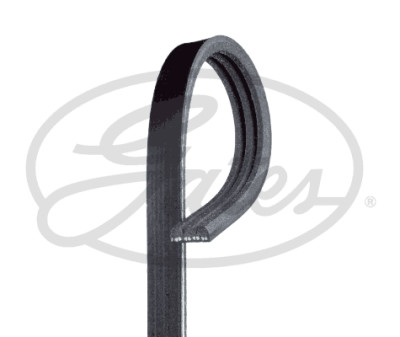 Correia em V GATES V-poly 3PK775SF