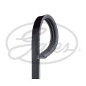 Correia em V GATES V-poly 3PK881SF