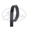 Correia em V GATES V-poly 5PK854SF