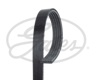 Correia em V GATES V-poly 5PK854SF