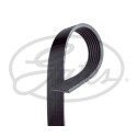 Correia em V GATES V-poly 7PK1257SF