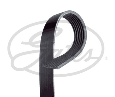 Correia em V GATES V-poly 7PK1257SF