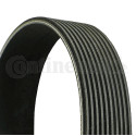 Correia V ContiTech 10PK1400 Poly V