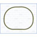 Junta, colector de admissão