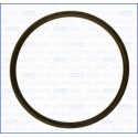 Junta, colector de admissão