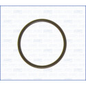 Junta, colector de admissão