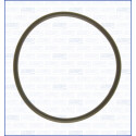 Junta, colector de admissão