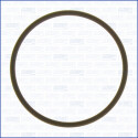 Junta, colector de admissão