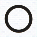 Junta, colector de admissão