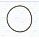 Junta, colector de admissão