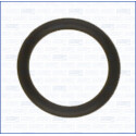 Junta, colector de admissão