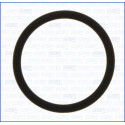 Junta, colector de admissão