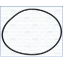 Junta, colector de admissão