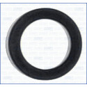 Junta, colector de admissão