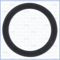 Junta, colector de admissão