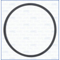 Junta, colector de admissão