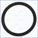 Junta, colector de admissão