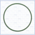 Junta, colector de admissão
