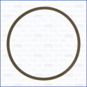 Junta, colector de admissão