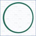 Junta, colector de admissão