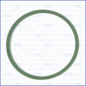 Junta, colector de admissão