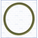 Junta, colector de admissão