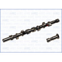 Árvore de cames