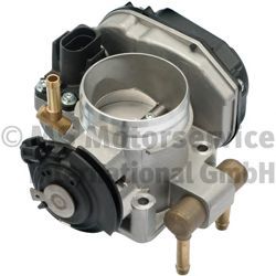 Corpo de borboleta