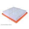 Filtro de Ar BLUEPRINT ADN12285BLU