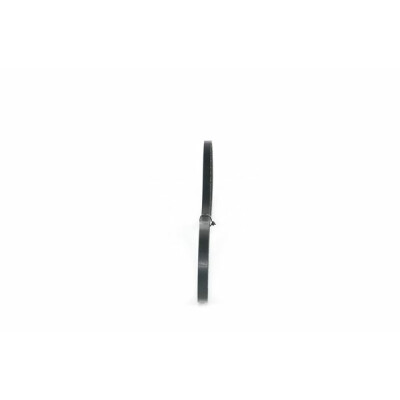Correia trapezoidal