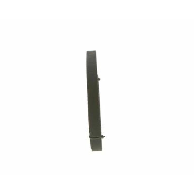 Correia dentada