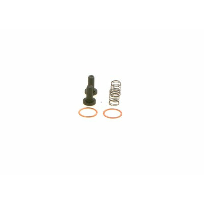 Filtro de combustível BOSCH 2 447 010 011