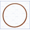 Junta, colector de admissão