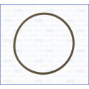 Junta, colector de admissão