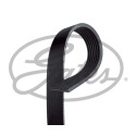 Correia em V GATES V-poly 7PK994EST