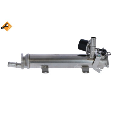Módulo EGR NRF 48314