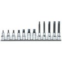 Conjunto de 12 tomadas macho com perfil XZN® no suporte