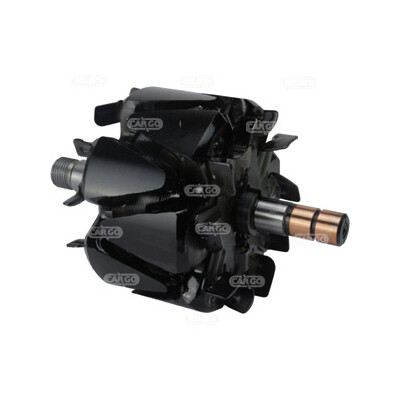 Rotor, alternador