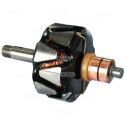Rotor, alternador