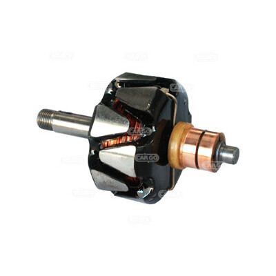 Rotor, alternador